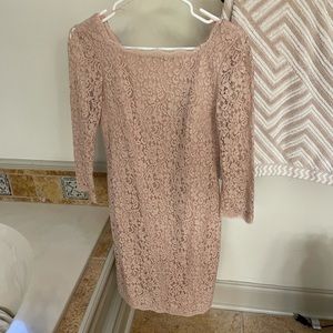 Blush Adrianna Papell Lace V-back Sheath Dress